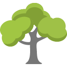 College Station Tree Removal
